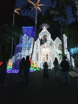 美らヤシパークオキナワ・東南植物楽園に投稿された画像（2023/5/7）
