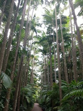 美らヤシパークオキナワ・東南植物楽園に投稿された画像（2023/5/7）