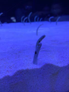 マリンワールド海の中道に投稿された画像（2023/5/7）