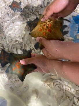 マリンワールド海の中道に投稿された画像（2023/5/7）