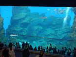 仙台うみの杜水族館に投稿された画像（2023/5/7）