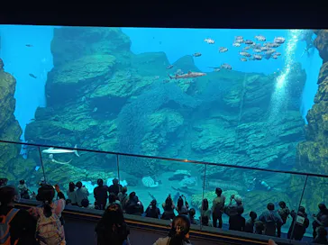 仙台うみの杜水族館に投稿された画像（2023/5/7）