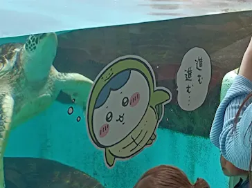 仙台うみの杜水族館に投稿された画像（2023/5/7）