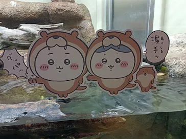 仙台うみの杜水族館に投稿された画像（2023/5/7）