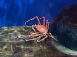 仙台うみの杜水族館に投稿された画像（2023/5/7）