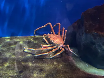 仙台うみの杜水族館に投稿された画像（2023/5/7）