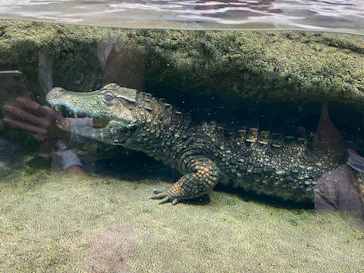 仙台うみの杜水族館に投稿された画像（2023/5/7）
