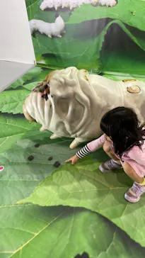 ひらかたパークに投稿された画像（2023/5/7）