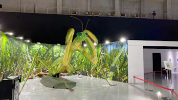 ひらかたパークに投稿された画像（2023/5/7）