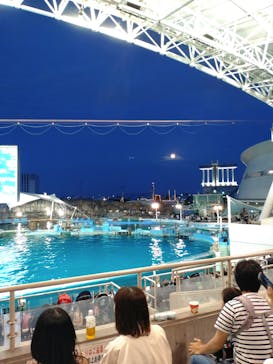 名古屋港水族館に投稿された画像（2023/5/7）