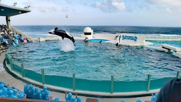 鴨川シーワールドに投稿された画像（2023/5/7）