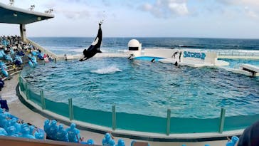 鴨川シーワールドに投稿された画像（2023/5/7）