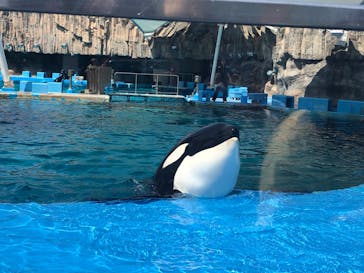 名古屋港水族館に投稿された画像（2023/5/7）