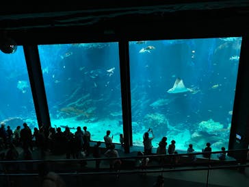 マリンワールド海の中道に投稿された画像（2023/5/7）