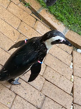 マリンワールド海の中道に投稿された画像（2023/5/7）