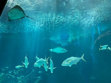 マリンワールド海の中道に投稿された画像（2023/5/7）