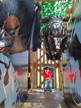 モビリティリゾートもてぎに投稿された画像（2023/5/7）