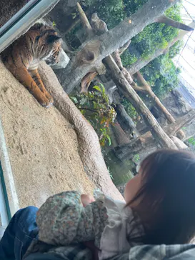 神戸どうぶつ王国に投稿された画像（2023/5/7）