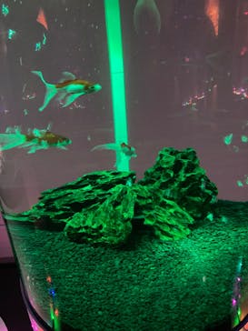 NARA IKIMONO MUSEUMに投稿された画像（2023/5/7）