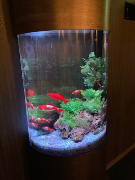 NARA IKIMONO MUSEUMに投稿された画像（2023/5/7）