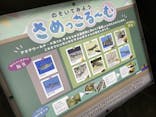アクアワールド茨城県大洗水族館に投稿された画像（2023/5/7）