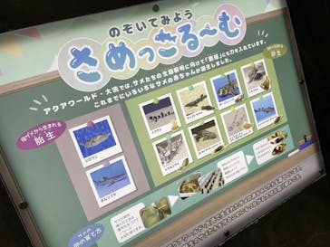 アクアワールド茨城県大洗水族館に投稿された画像（2023/5/7）