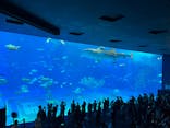 沖縄美ら海水族館に投稿された画像（2023/5/7）