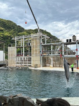 城崎マリンワールドに投稿された画像（2023/5/7）
