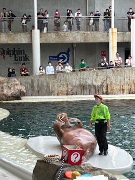 城崎マリンワールドに投稿された画像（2023/5/7）