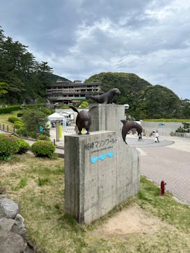 城崎マリンワールドに投稿された画像（2023/5/7）