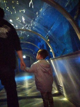 登別マリンパークニクスに投稿された画像（2023/5/7）