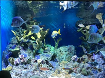 サンシャイン水族館に投稿された画像（2023/5/7）