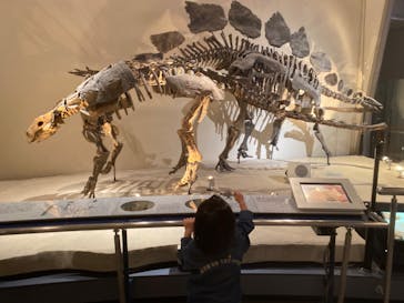 国立科学博物館に投稿された画像（2023/5/7）