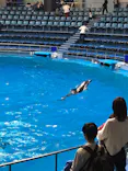 マクセル アクアパーク品川に投稿された画像（2023/5/7）