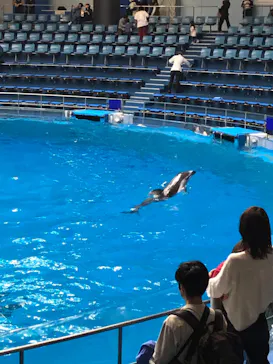 マクセル アクアパーク品川に投稿された画像（2023/5/7）