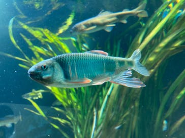 サンシャイン水族館に投稿された画像（2023/5/7）