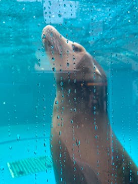 サンシャイン水族館に投稿された画像（2023/5/7）