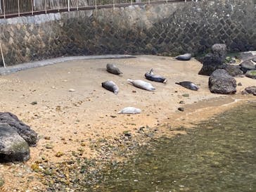 伊豆・三津シーパラダイスに投稿された画像（2023/5/7）