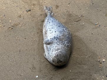 伊豆・三津シーパラダイスに投稿された画像（2023/5/7）