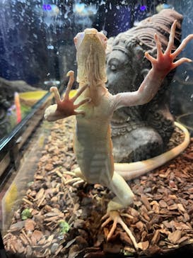 NARA IKIMONO MUSEUMに投稿された画像（2023/5/7）