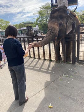 那須サファリパークに投稿された画像（2023/5/7）