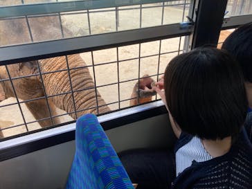 那須サファリパークに投稿された画像（2023/5/7）