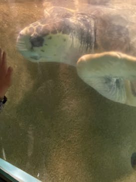 マリンワールド海の中道に投稿された画像（2023/5/7）