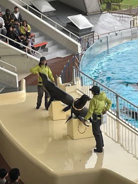 マリンワールド海の中道に投稿された画像（2023/5/7）