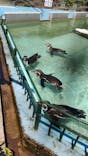 日立市かみね動物園に投稿された画像（2023/5/7）