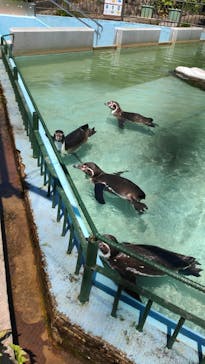日立市かみね動物園に投稿された画像（2023/5/7）
