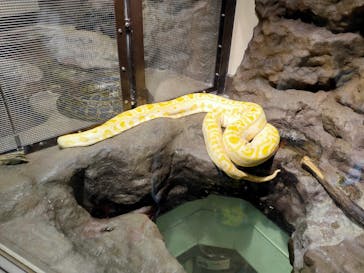 日立市かみね動物園に投稿された画像（2023/5/7）