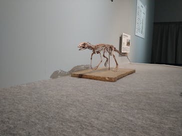 特別展「恐竜博2023」に投稿された画像（2023/5/7）