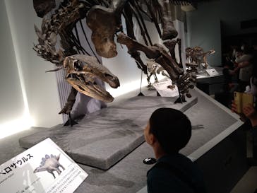 特別展「恐竜博2023」に投稿された画像（2023/5/7）