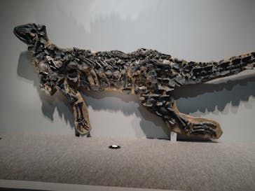 特別展「恐竜博2023」に投稿された画像（2023/5/7）